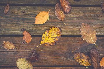 Image showing Autumn leafs on a wooden background