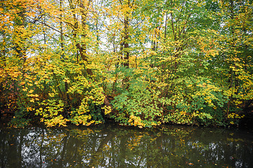 Image showing Dark lake with colorful trees in the fall