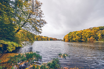 Image showing Trees in autumn colors around a lake