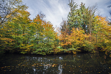 Image showing Autumn landscape with colorful trees in the fall