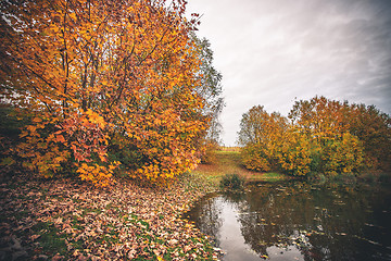 Image showing Colorful trees by a small pond in the fall
