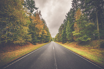 Image showing Highway with colorful trees by the road