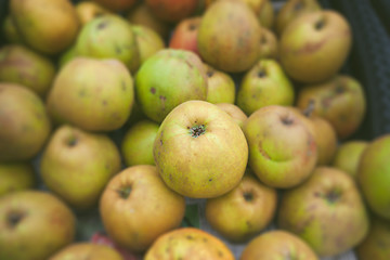 Image showing Green apples in a stack in autumn