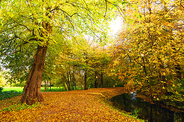 Image showing Autumn nature with a trail