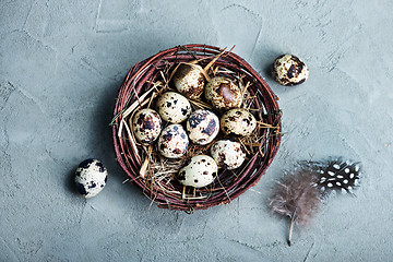 Image showing quail eggs