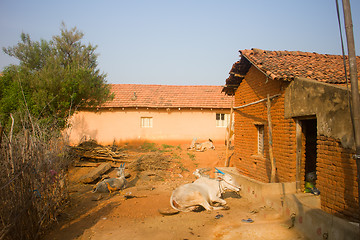 Image showing Poor Indian household in province Andhra Pradesh