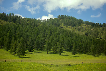 Image showing Summer mountains landscape with trees.