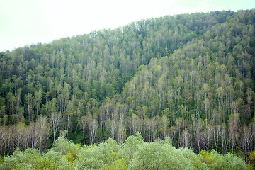 Image showing landscape in mountains.