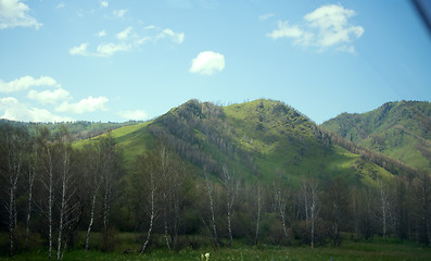 Image showing Covered with mixed forests of the Altai mountains.