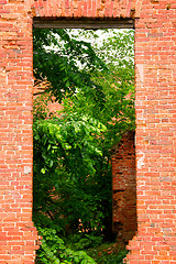 Image showing Picturesque ruins of century aristocratic estates in Russia 1