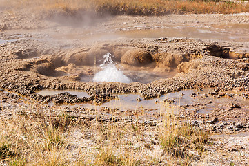 Image showing Yellowstone National Park, Utah, USA