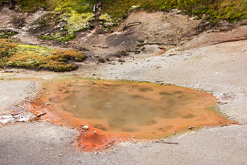 Image showing Yellowstone National Park, Utah, USA