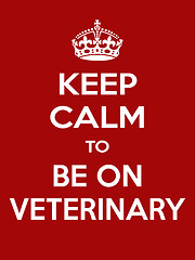 Image showing Vertical rectangular red-white motivation be veterinarian poster based in vintage retro style Keep clam