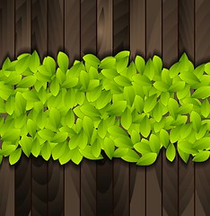 Image showing Green summer leaves on wooden background