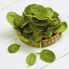 Image showing Raw Spinach Leafs