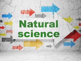 Image showing Science concept: arrow with Natural Science on grunge wall background