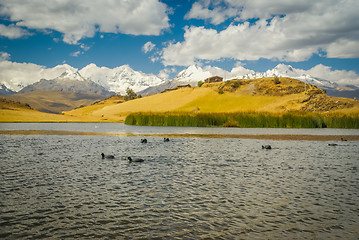 Image showing Lake with ducks