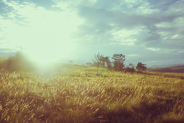 Image showing Sunrise in Brasil