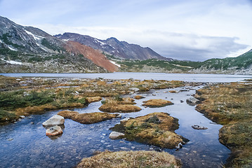 Image showing Wild nature and river