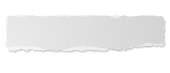 Image showing Grey ripped paper edge banner