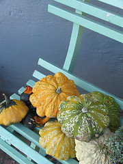 Image showing Small pumpkins