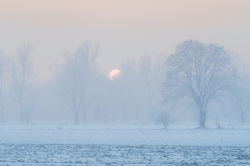 Image showing Foggy landscape with snow at sunset