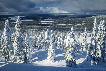Image showing Countryside in Finland