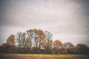 Image showing Colorful trees in autumn colors