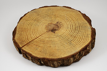 Image showing wooden circle with a split cut of the log on white