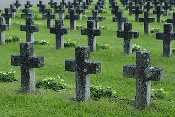 Image showing rows of stone crosses in a military cemetery