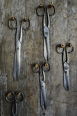 Image showing five pairs of old scissors on a wooden