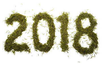 Image showing 2018 inscription from Christmas needles on a white  background