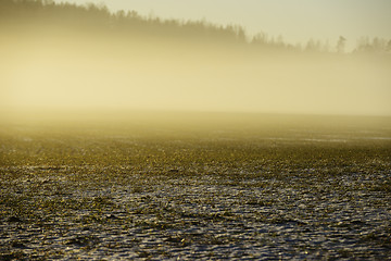 Image showing dense fog over a field in winter