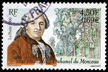 Image showing Duhamel du Monceau Stamp