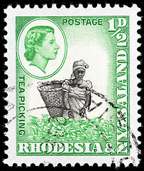 Image showing Tea Picking Stamp