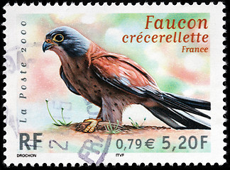 Image showing Small Falcon Stamp