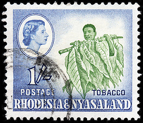 Image showing Tobacco leaves stamp