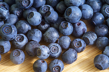 Image showing Bilberry Close Up