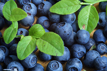 Image showing Bilberry Close Up