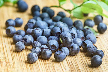 Image showing Bilberry Close Up