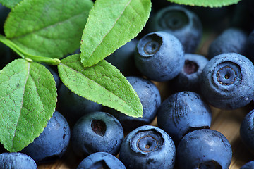 Image showing Bilberry Close Up