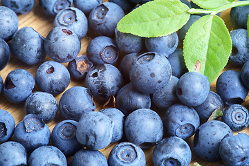 Image showing Bilberry Close Up
