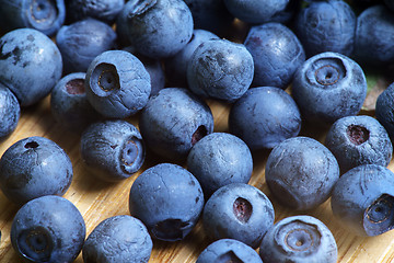 Image showing Bilberry Close Up