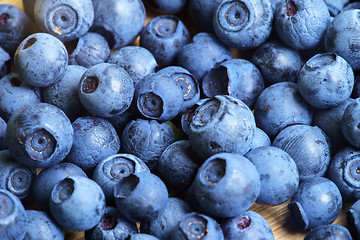 Image showing Bilberry Close Up