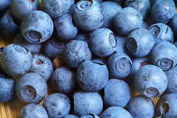 Image showing Bilberry Close Up