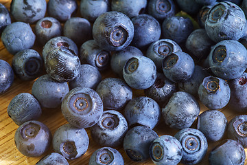 Image showing Bilberry Close Up