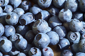 Image showing Bilberry Close Up