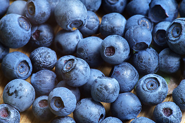 Image showing Bilberry Close Up