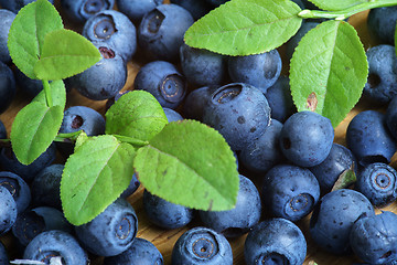 Image showing Bilberry Close Up