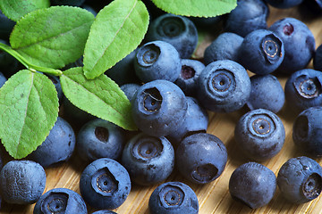 Image showing Bilberry Close Up